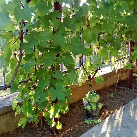 Prázdninový dům Kuca Za Odmor Grga Tribalj (Primorsko-Goranska)